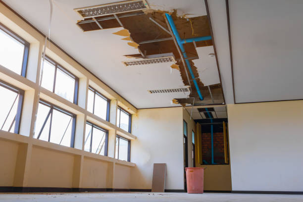 Best Carpet water damage restoration  in Sundance, WY