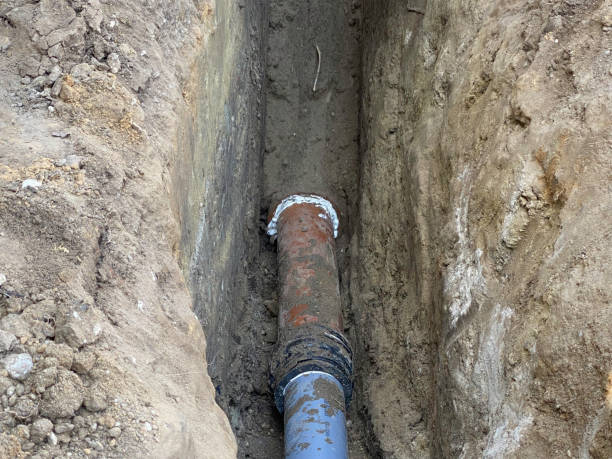 Best Professional water damage repair  in Sundance, WY