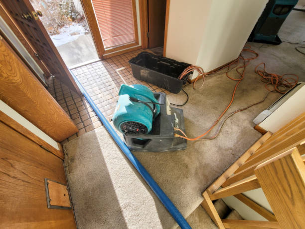 Best Water damage contractors near me  in Sundance, WY