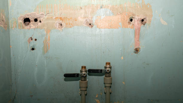 Best Residential water damage restoration  in Sundance, WY