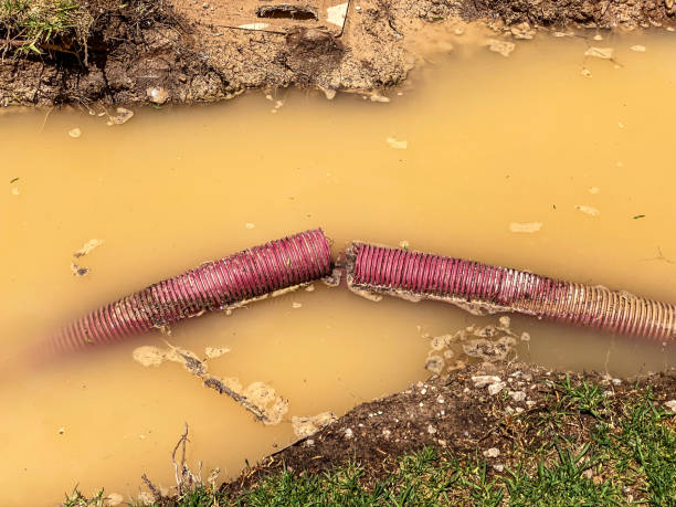 Best Commercial water damage restoration  in Sundance, WY